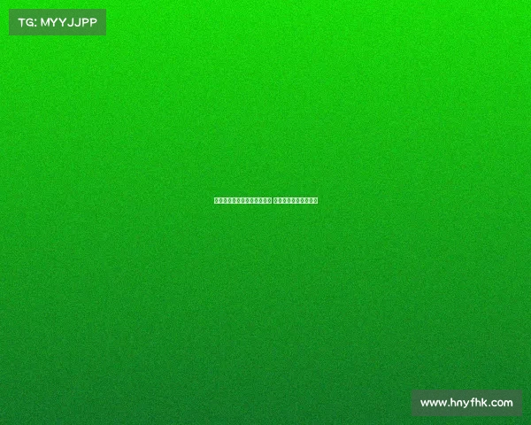 梅州客家攻守失衡防守需改进 成绩提升依赖团队协作